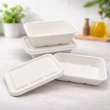 rectangular-bagasse-food-containe