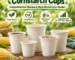 Cornstarch Cups: Review, Performance and Real-World Case Studies